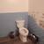 Licensed Kb2 General Contractor No job to small we can help you! 7 thumbnail