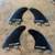 FCS Fins  Medium 1 thumbnail