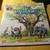 1971-1979 DISNEY Book & Record Sets!! Pinocchio! Mickey! $33.00 Shippe 9 thumbnail