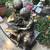 An enchanting siblings reading on bench garden statue 3 thumbnail