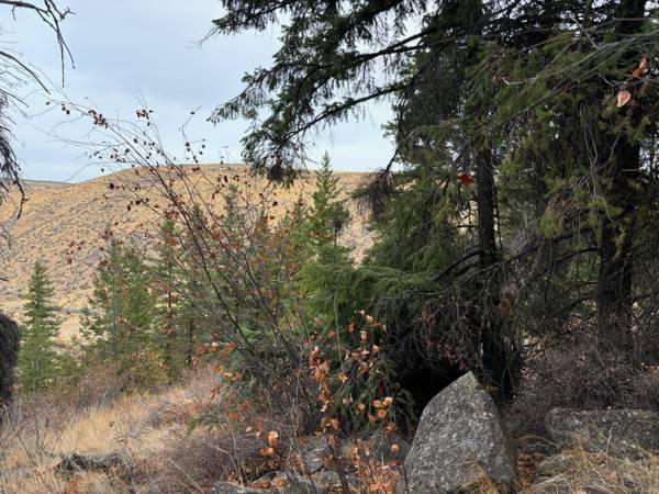 $39,900 7 acres Waterville expansive view building lot (Waterville)63808971145731121