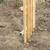 Fence 3 thumbnail
