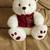 SKM Cherish Collection White Christmas Plush Bear 12” 1 thumbnail