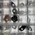 K12 Advanced Rock and Mineral Kit 4 thumbnail