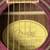 FENDER GDO-200TPL ACOUSTIC GUITAR W/ GIG BAG 2 thumbnail