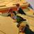 Sun conures 1 thumbnail