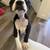 Pit /  bully puppy 3 thumbnail