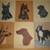 "A Portfolio of Purebred Dogs" 1947 color plates 1 thumbnail