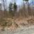 Real Estate 7 thumbnail