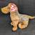 Beanie babies, 6, new, Wrinkles, Huggins, Jinglepup, Whiskers, Pugsly, 6 thumbnail