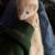 ferret needs rehoming 2 thumbnail