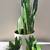 Natural air purifier Snakes Plants on sale 4 thumbnail