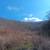 17.56 Acres Mingo County 22 thumbnail