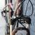 Medium Specialized Ariel Aluminum  Disc Brake Utility Bike 5'4- 5'7 9 thumbnail