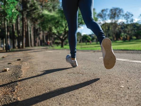 1/bd 1/ba, Ceiling Fan-Dining Room Only, Dishwasher 1