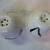 MCM White Salt and Pepper Shakers with Pink/Black Leaves 3 thumbnail