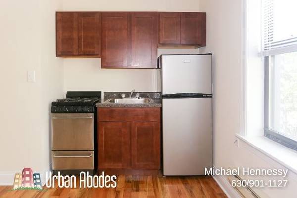 $1,395 / 500ft2 - Amazing Studio, 1 Bath in Ravenswood, Available: 11/1/2025 (Ravenswood)63898985758467123