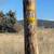 #11-12 ~ Two Parcels ~ Pleasant View Dr ~ .52 Acres ~ Owner Carry 6 thumbnail