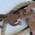 Vintage Durbin Durco Block & Tackle Double Wheel Pulley St. Louis w/Ro 8 thumbnail