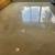 Residential and Commerical Epoxy Flooring Solutions and More! 8 thumbnail