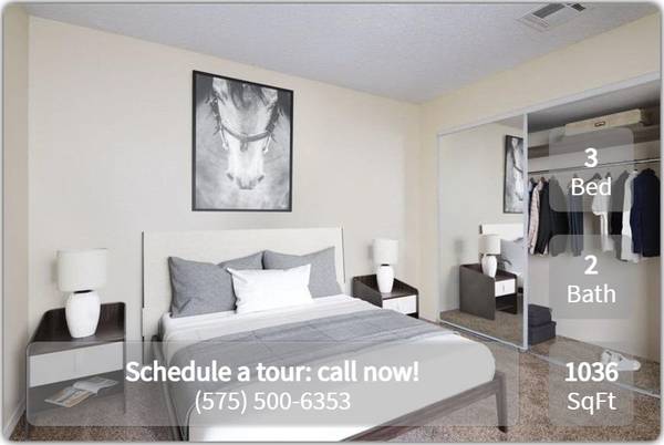 $1,425 / 3br - 1036ft2 - ¡AMAMOS A NUESTRAS MASCOTAS!! Excelente comunidad para amantes de los animales! (Las Cruces - Cerca de NMSU)63861850983041121