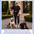 Lets Barter! We Need Van Wrapped! Professional Dog Training available 5 thumbnail