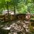 Firewood Service - from NEPA, to northern NJ and the Mid-Hudson Valley 3 thumbnail