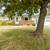3 Bedroom Brick/Aluminum One Owner Ranch Home  $329,900.00 2 thumbnail