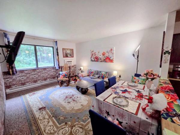 $920 / 1br - 600ft2 - Harmony Apartment in coloma WI (Waupaca)63845965533827120