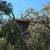 Tree services 17 thumbnail