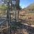 Beautiful 10 Acre Property - Fenced with Trees 4 thumbnail