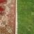 Beautiful Capel Wool Rug. Large 120" x 165" Made in Belgium. Good Condition. Fri 11 thumbnail