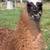Llama 1 thumbnail