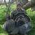 IA and MO Whitetail & Turkey 5 thumbnail