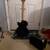 Daisy Rock Debutante Guitar w/Practice Amp 2 thumbnail