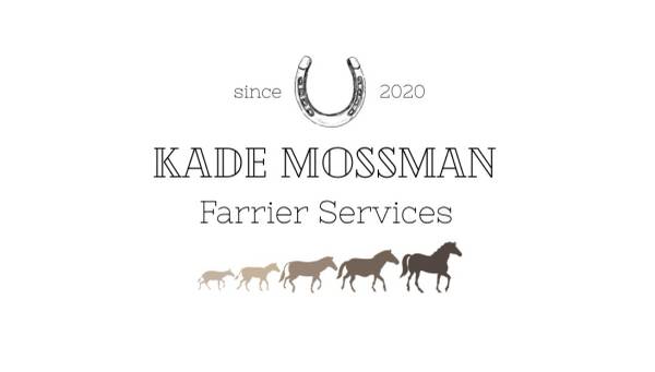 Professional Farrier services 1