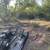 Brush Clearing & Shredding 11 thumbnail