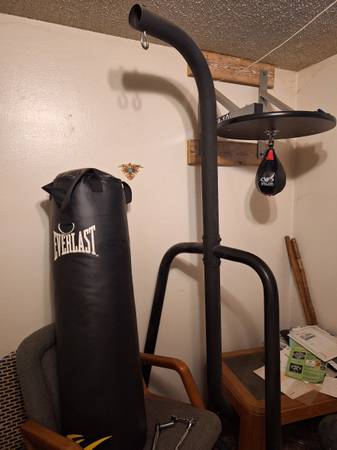 Everlast punching bag and valor fitness speed bag 1