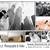 Professional photographer equipment and business 5 thumbnail
