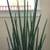 Home Decor - Artificial Potted Plant 2 thumbnail