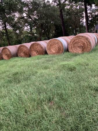 Hay for sale 1