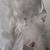 Ashton Drake "Winter Romance" Porcelain 19 1/2" Bride Doll with stand 2 thumbnail