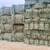 Teff hay 1 thumbnail