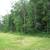 13 Acres Wooded Residential  Lots 2 thumbnail