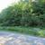 6+ Acres , 440 ft frontage - Part level/elevated, Electric - Mt views 15 thumbnail