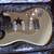 Fender USA Limited Edition American Professional Stratocaster Rosewood 4 thumbnail
