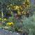 Hummingbird House Vacancy 21 thumbnail