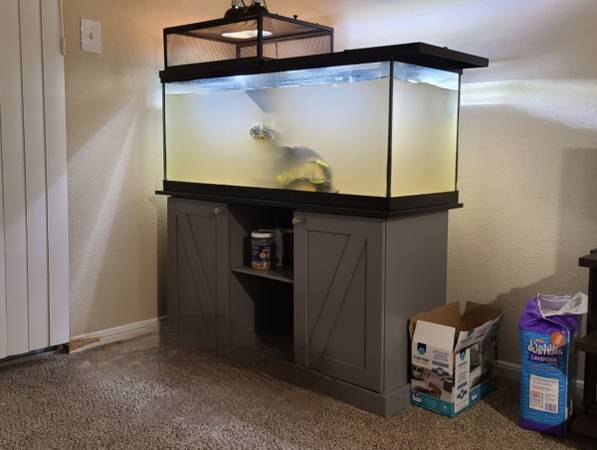 REHOMING RED EAR SLIDER TURTLE (Pasadena)63859315032449122