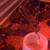 Plymouth rock pullets 3 thumbnail