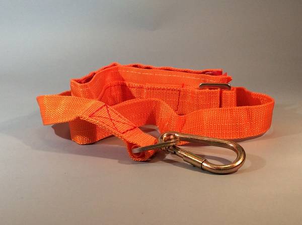 NEW Lanyard 1